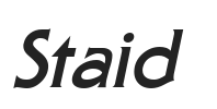 Staid-Bold-Italic.ttf