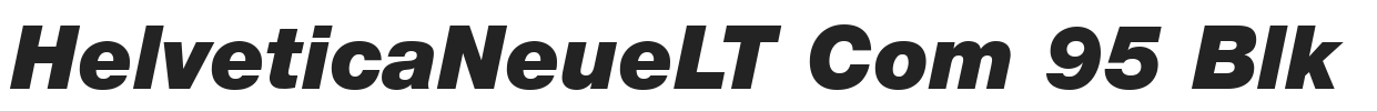 Helvetica-Neue-LT-Com-96-Black-Italic.ttf